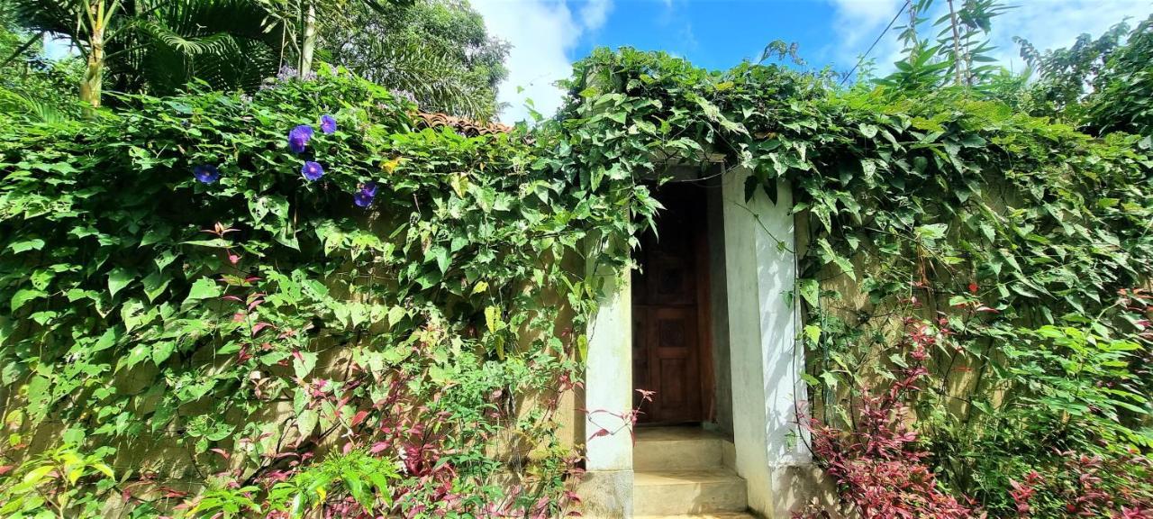 Sand Dollar House, Hiriketiya Dickwella Exterior photo